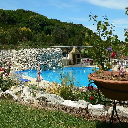 Angela Apartments Pool Gardens And Sea Views Agios Stefanos Avliotes  Exterior foto